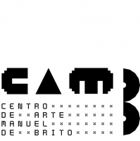 1_camb-3.jpg